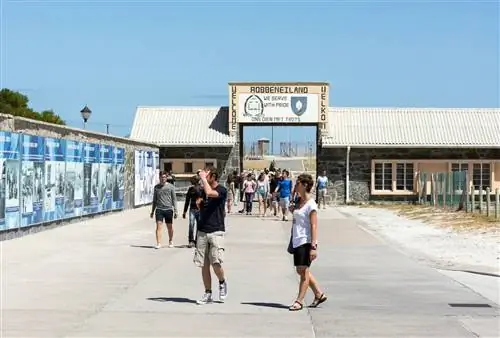 семейный отдых в Кейптауне