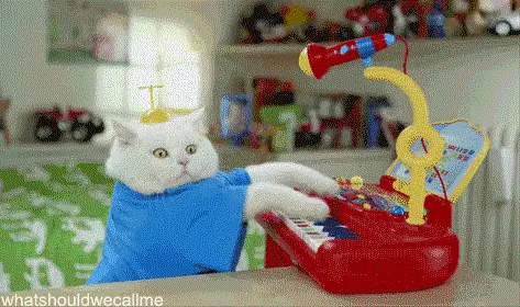 Клавиатурный кот: Я понятия не имею, что делаю.