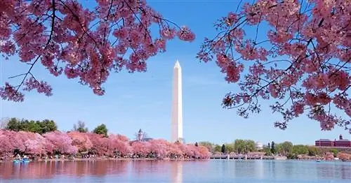 20+ доступных занятий с детьми в округе Колумбия круглый год