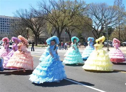 Женщины на параде цветения сакуры - чем заняться в Вашингтоне с детьми