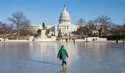 маленький ребенок катается на коньках в национальном торговом центре