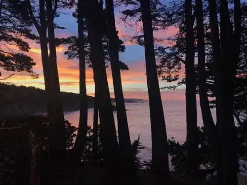 Whale Watch Inn by The Sea с видом на закат