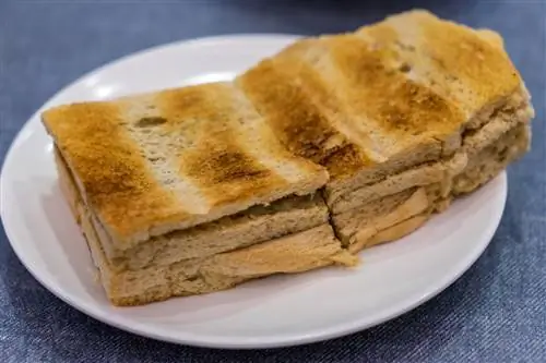 Традиционный сингапурский завтрак под названием Kaya Toast, хлеб с кокосовым джемом и маслом, техника выборочного фокуса