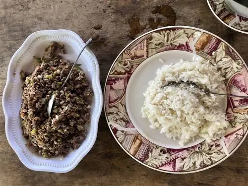 Сальпикон никарагуанская еда
