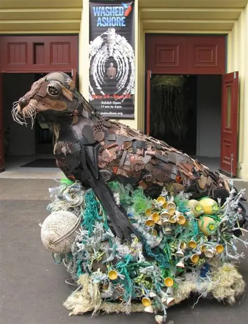 Тюлень