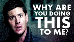 tumblr_mb2u6zjGFd1qfb86x