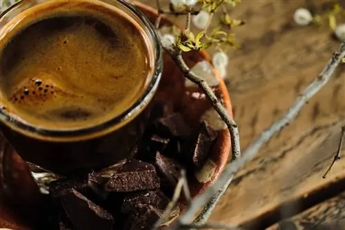 Кофе EXO Roast Co Tucson