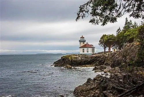 Государственный парк Lime Kiln Point Острова Сан-Хуан