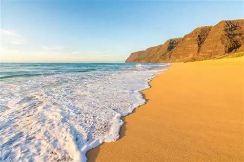 Государственный парк Polihale Beach, остров Кауаи, Гавайи