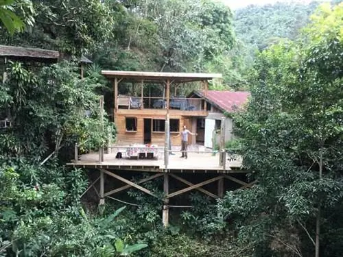 домик на дереве airbnb на ямайке