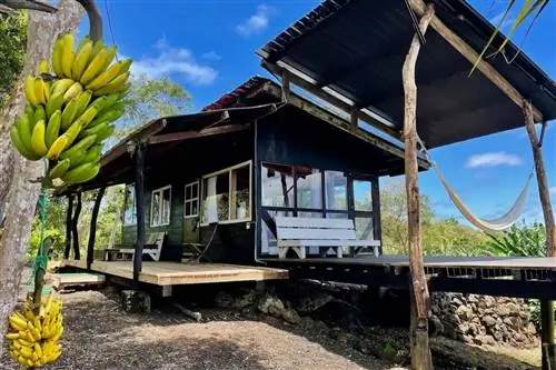 Эти уникальные Airbnbs делают поездку на Галапагосские острова доступной