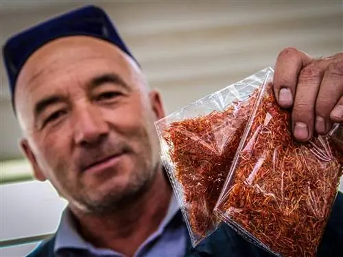 Осуществление мечты всей жизни о путешествии в Узбекистан