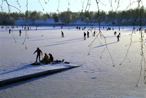 Фигуристы на озере Богстадваннет в Осло в Норвегии