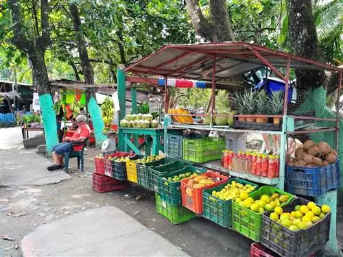 Мужчина сидит перед своими стендами с тропическими фруктами на традиционном фермерском рынке в Пуэрто-Вьехо, Коста-Рика
