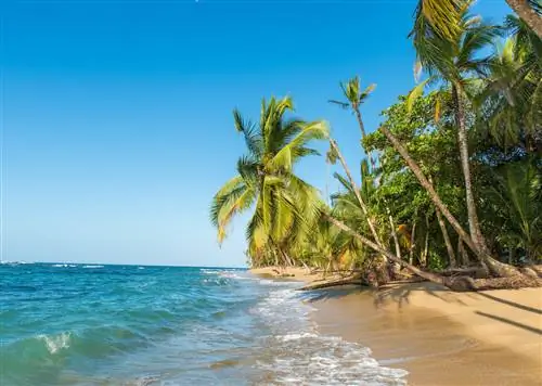 8 способов испытать Пуэрто-Вьехо как местный житель