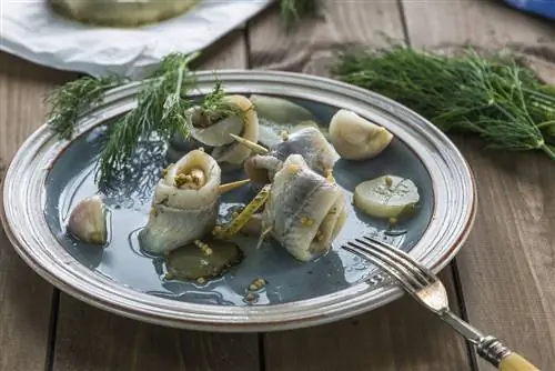 Тарелка маринованных рыбных рулетиков с соленьями и укропом на боку