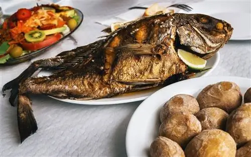 Жареная рыба на тарелке на Тенерифе, Канарские острова