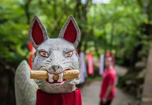 Rebellion («Пожалуйста, угостите себя бесплатным журналом о моде и красоте») - Сибуя, Токио