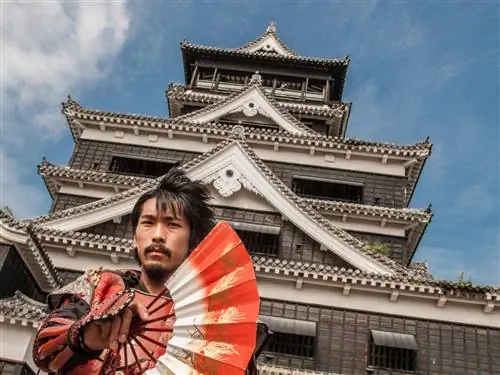 Я чувствую, что Япония зовет меня обратно