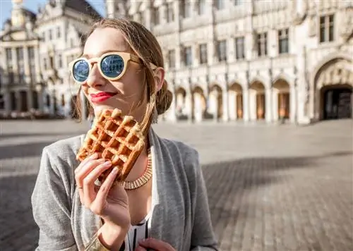 Искусство есть вафли как местный житель Бельгии