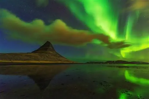 Изображение предоставлено Майком Мезёлем