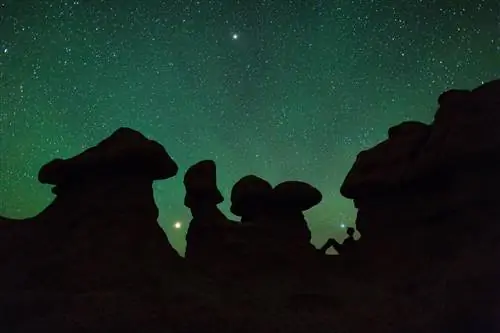 Изображение предоставлено Шейном Блэком