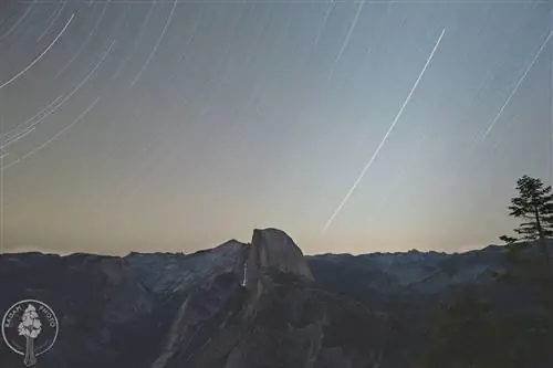 Изображение предоставлено Адамом Прието