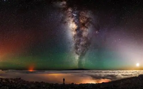 Изображение предоставлено Шейном Блэком