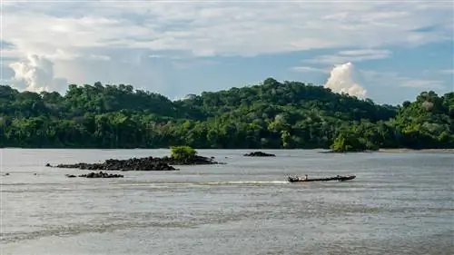Вода и пышные холмы во Французской Гвиане