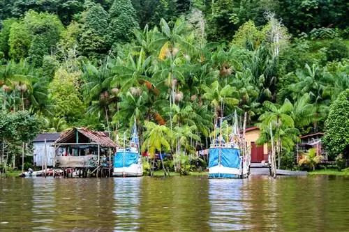 Местная деревня на воде во Французской Гвиане
