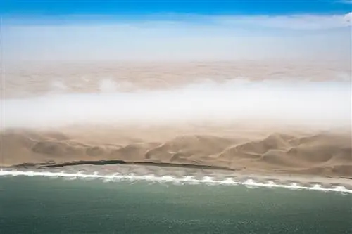 Вид с воздуха на Берег Скелетов