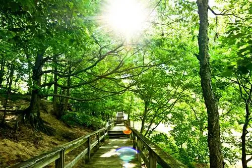 Государственный парк Хоффмастер