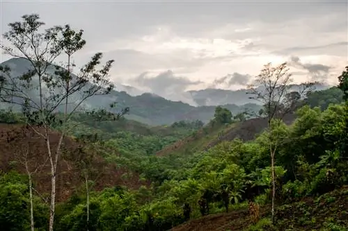 Горные сельхозугодья Гватемалы.