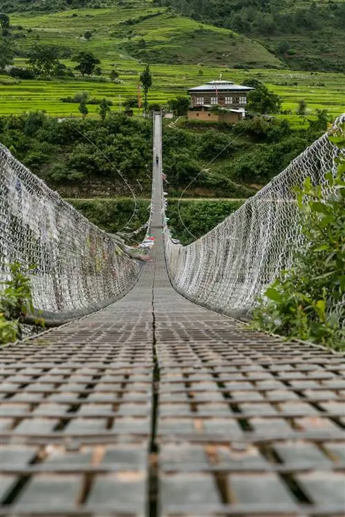 Подвесной мост Пунакхи