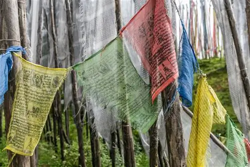 Молитвенные флаги ждут коня ветра