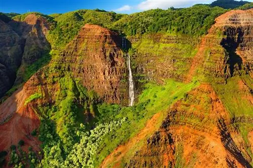 Потрясающий вид на каньон Ваймеа, Кауаи, Гавайи