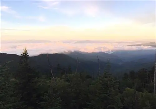 5 мест для посещения в Национальном парке Грейт-Смоки-Маунтинс и его окрестностях