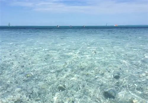 Спьяджа-делле-Салине