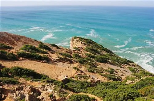 Следы динозавров на известняковых скалах к северу от Кабо-Эспишель, Португалия