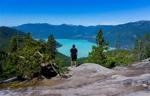 Поднимитесь на гондоле Sea To Sky на вершину Squamish, где вы сможете исследовать пешеходные тропы, подвесной мост и многое другое. Если вы любите приключения, поднимитесь на вершину вождя Ставамуса.