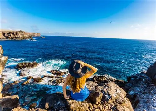 10 вещей, которые вы можете сделать на Галапагосских островах, кроме как смотреть на черепах