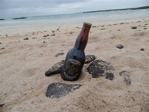 Пиво из пивоварни Санта-Крус в песке на пляже