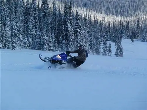 Район Уэллс, Британская Колумбия, снегоход