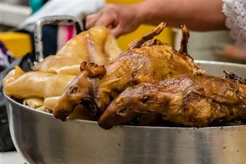 жареные куи, оргинская свинья и свиные шкварки продаются в Эквадоре