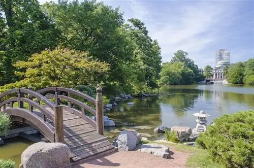 Японская островная часть парка Джексон в Чикаго