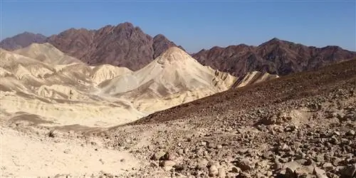 Пустыня Негев