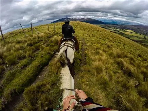 DCIM100GOPROG0042942.