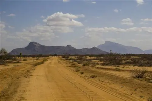 Мой напарник назвал наше путешествие по северной Кении приключением «логического хаоса». Это была прекрасная коллекция ошеломляющих пейзажей, широких улыбок и решительных волн, часов потерянного времени и друзей друзей друзей в неизвестных местах, которые каким-то образом знали, что мы приближаемся, и могли дать нам немного информации, чтобы держите нас в курсе, так как Google Maps не заслуживает доверия за пределами Найроби. Фото автора.