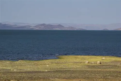 Дорога к Лойангалани («место многих деревьев» в Самбуру), маленькому городку на юго-восточном побережье озера Туркана, выложена вулканической породой - поразительный пейзаж на фоне ярко-бирюзовых вод. Туркана - самое большое пустынное озеро в мире и огромное место размножения нильских крокодилов. Лойангалани является домом для многих племен, в том числе Эль-Моло, самого маленького племени в Кении. Большинство жителей живут в маньятах, домах из бревен, коровьего навоза, золы и земли. Манятты традиционно создавались для полукочевых племен, таких как самбуру, чтобы иметь возможность быстро строить, собирать вещи и уходить, когда это необходимо. Фото автора.