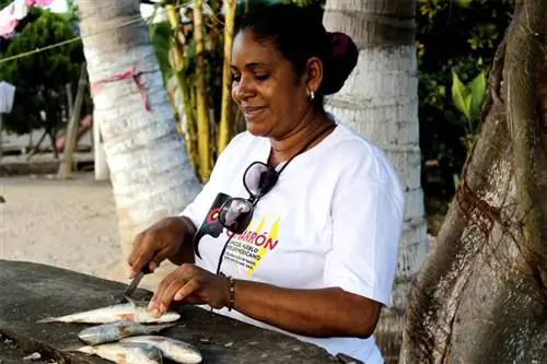 Фото: Исраэль Рейес Ларреа